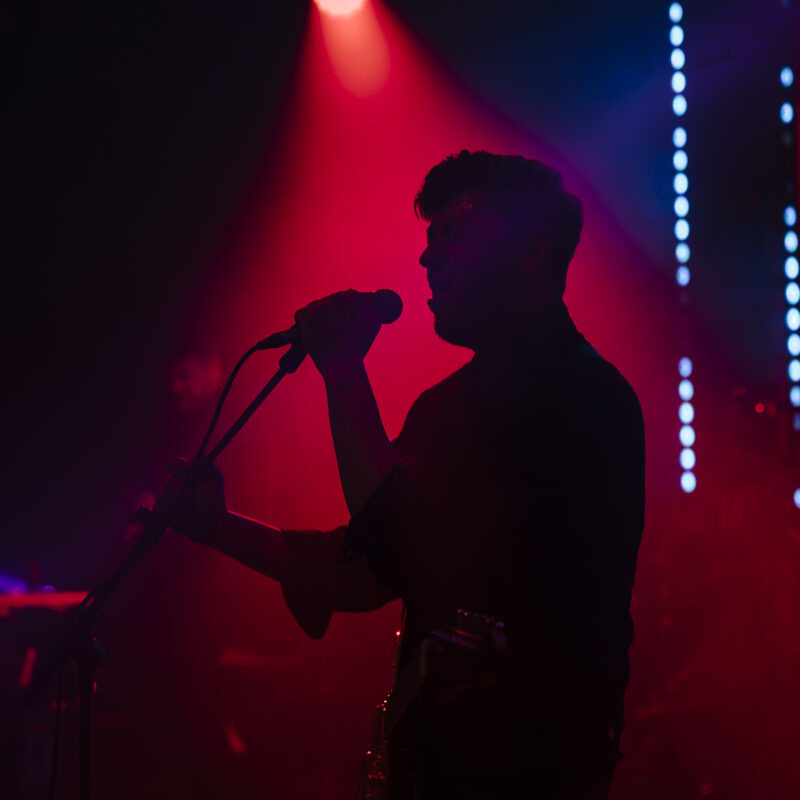 The Siids, autor: Karlo Čargonja