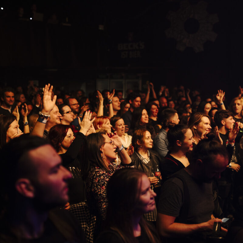 The Siids, autor: Karlo Čargonja