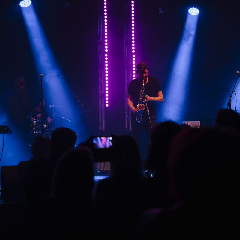 The Siids, autor: Karlo Čargonja