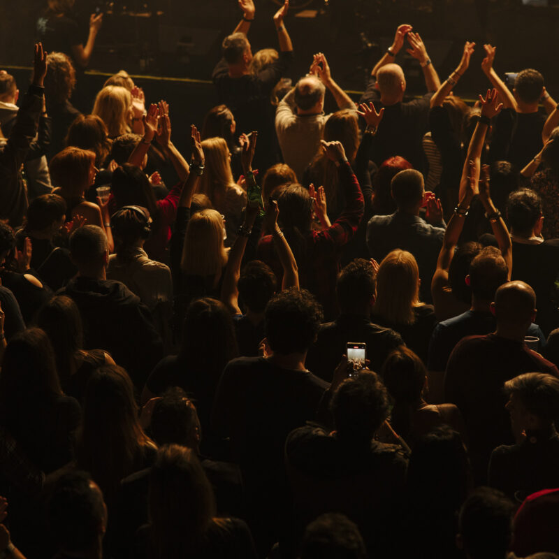 The Siids, autor: Karlo Čargonja