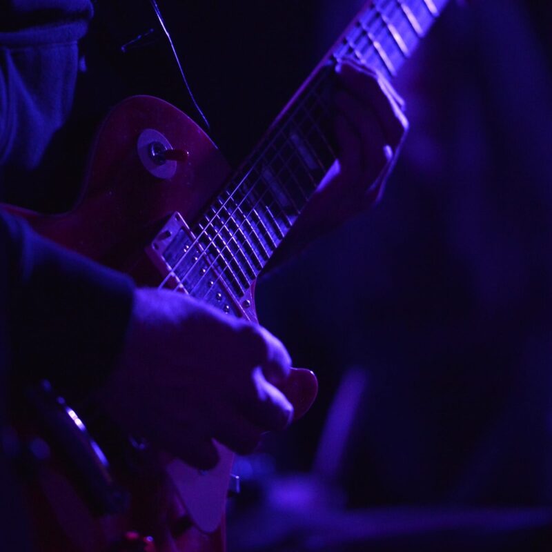 Entropist + The Freak Folk of Mangrovia, autor: Vigo Mavrović