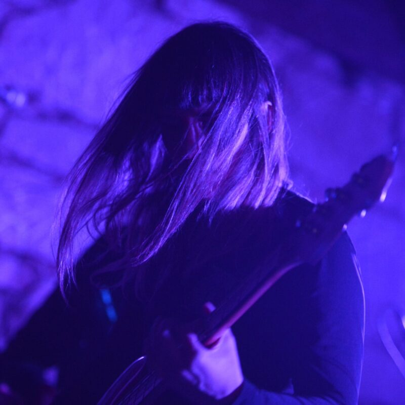 Entropist + The Freak Folk of Mangrovia, autor: Vigo Mavrović