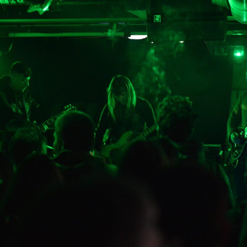 Entropist + The Freak Folk of Mangrovia, autor: Vigo Mavrović