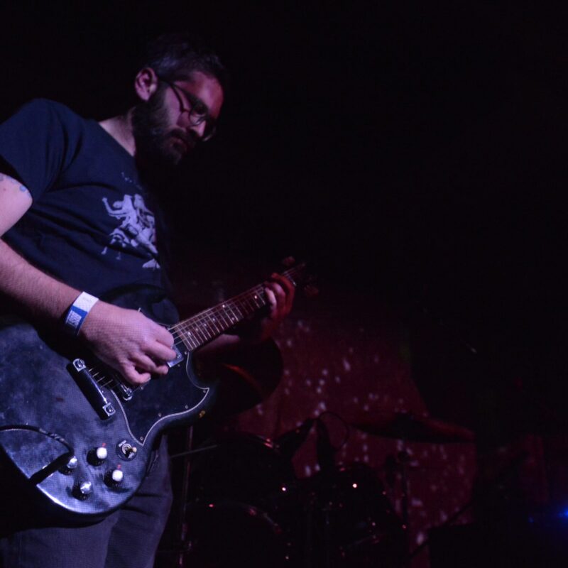 Entropist + The Freak Folk of Mangrovia, autor: Vigo Mavrović