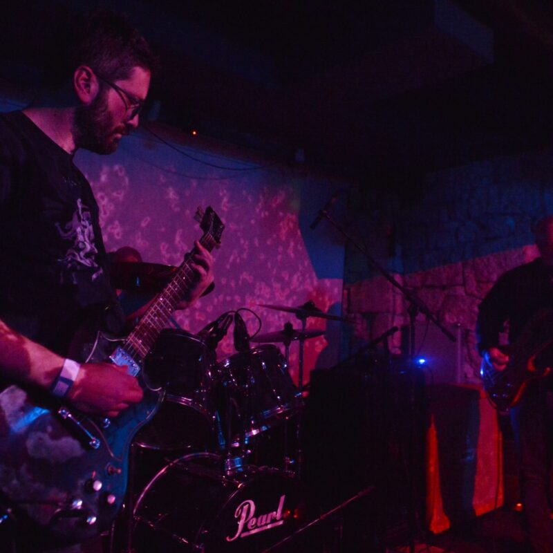 Entropist + The Freak Folk of Mangrovia, autor: Vigo Mavrović