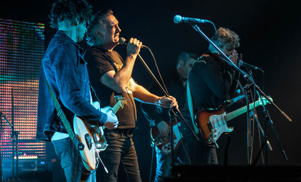 KOIKOI, proto tip, The Stoned Cows, autorica: Klara Stilinović