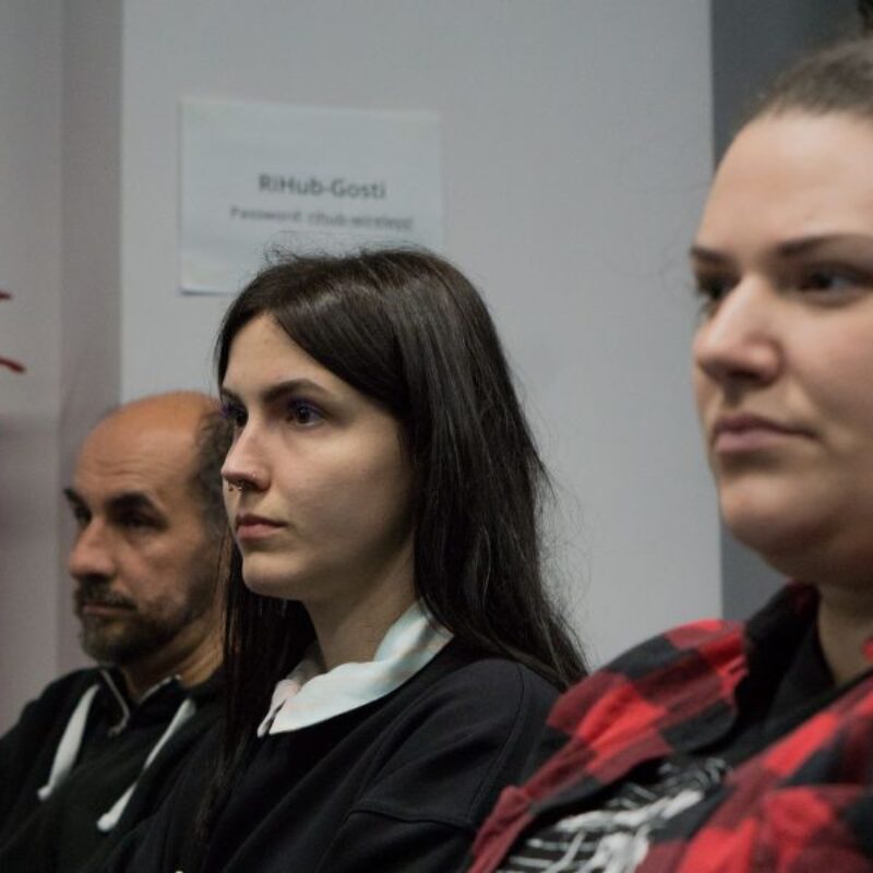 ''The Future is Unwritten'', autor: Josip Počuča