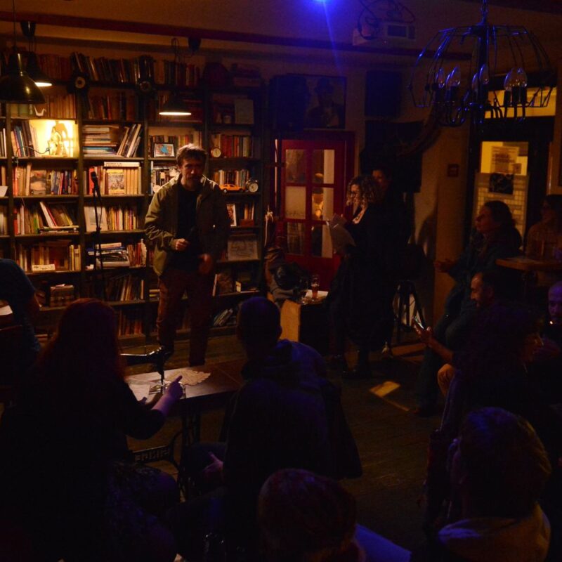 Antologija hrvatske i srpske slem poezije, autor: Vigo Mavrović