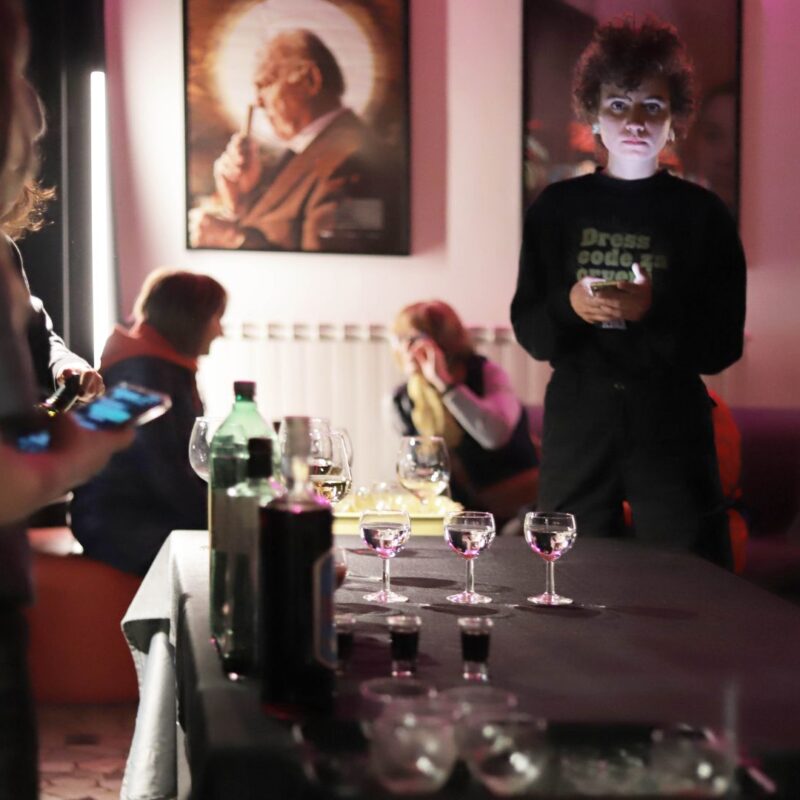 Sav taj pank, autorica: Klara Dujmović