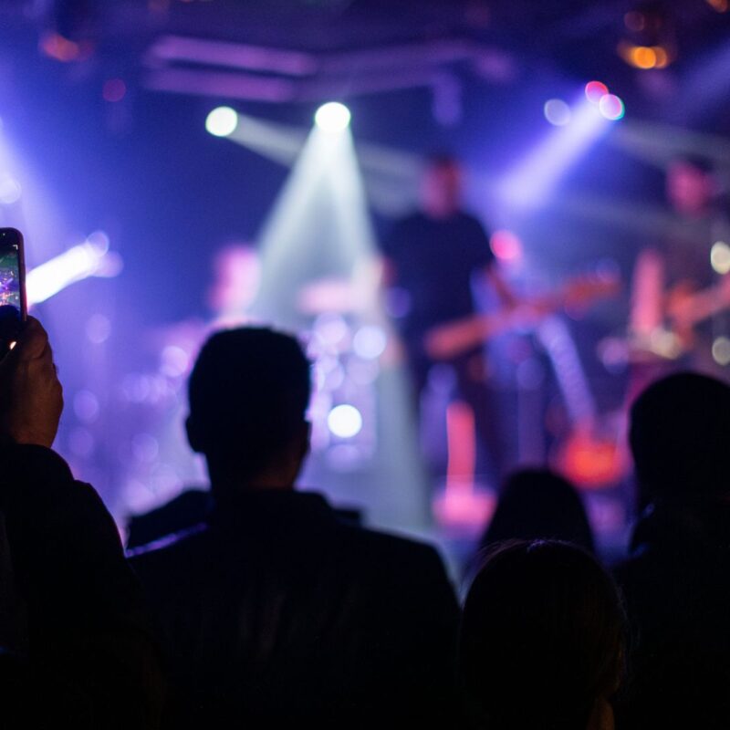 L.H.D. + Dobladores de Sonido, autor: Filip Kovačević