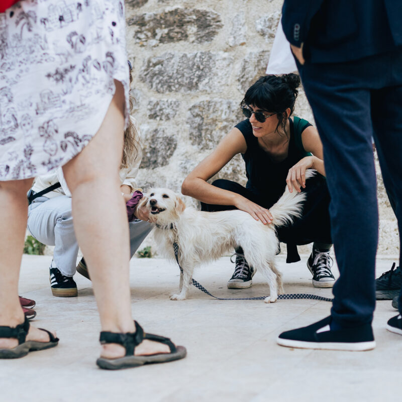 Matija i Lu Dedić + Adam Semijalac i Fige + Balkan Zoo & Nina Ćorić + predavanje,autor: Borut Brozović