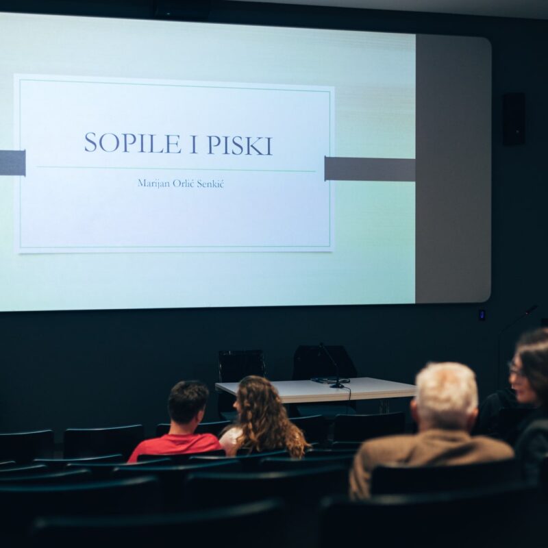 Matija i Lu Dedić + Adam Semijalac i Fige + Balkan Zoo & Nina Ćorić + predavanje,autor: Borut Brozović