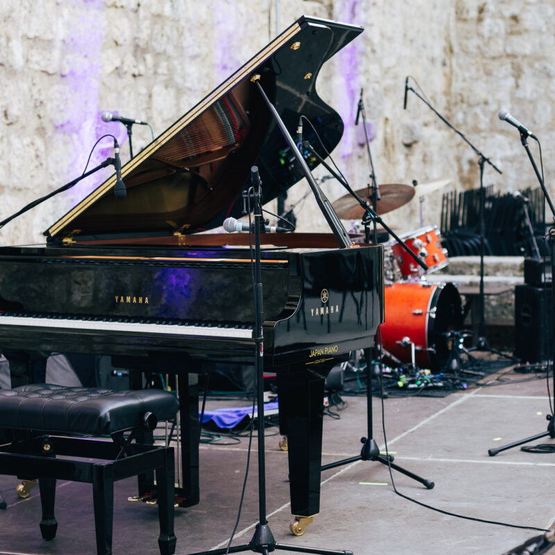 Matija i Lu Dedić + Adam Semijalac i Fige + Balkan Zoo & Nina Ćorić + predavanje,autor: Borut Brozović