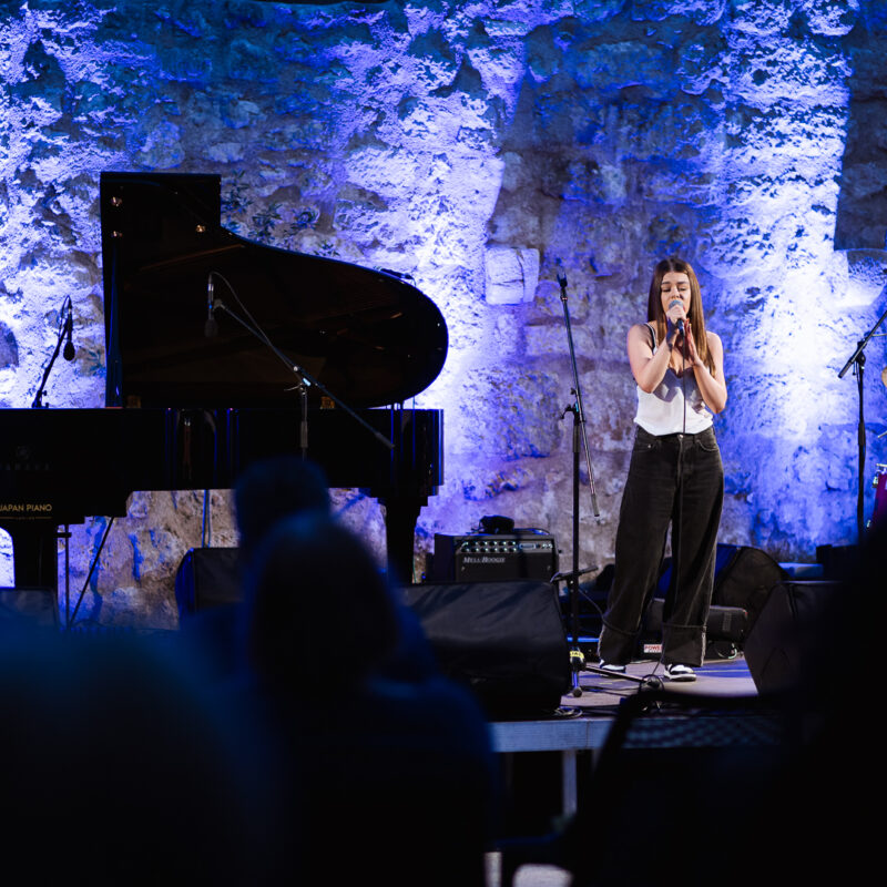 Matija i Lu Dedić + Adam Semijalac i Fige + Balkan Zoo & Nina Ćorić + predavanje,autor: Borut Brozović