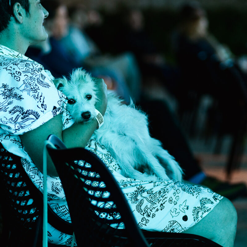 Matija i Lu Dedić + Adam Semijalac i Fige + Balkan Zoo & Nina Ćorić + predavanje,autor: Borut Brozović