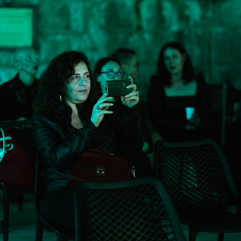 Matija i Lu Dedić + Adam Semijalac i Fige + Balkan Zoo & Nina Ćorić + predavanje,autor: Borut Brozović