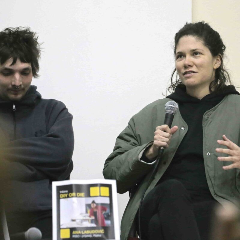 DIE or DIY, autor: Aleš Suk