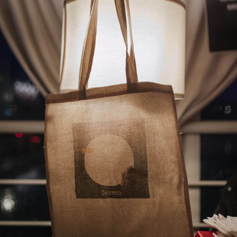 Nina Romić, autorica: Tanja Kanazir