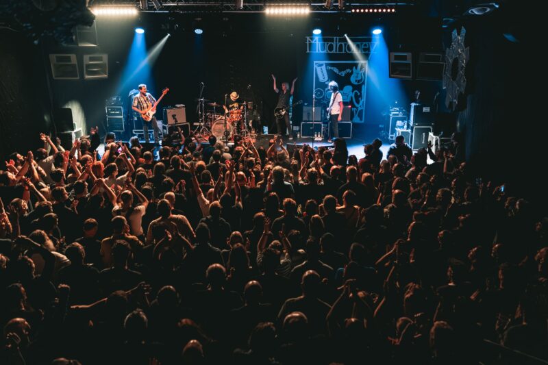 Mudhoney, SØWT, autor: Filip Kovačević