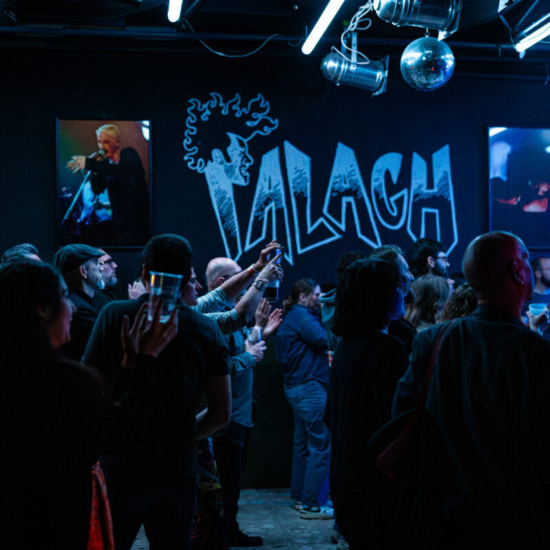 Stereosister, Slick Stings, autor: Filip Kovačević