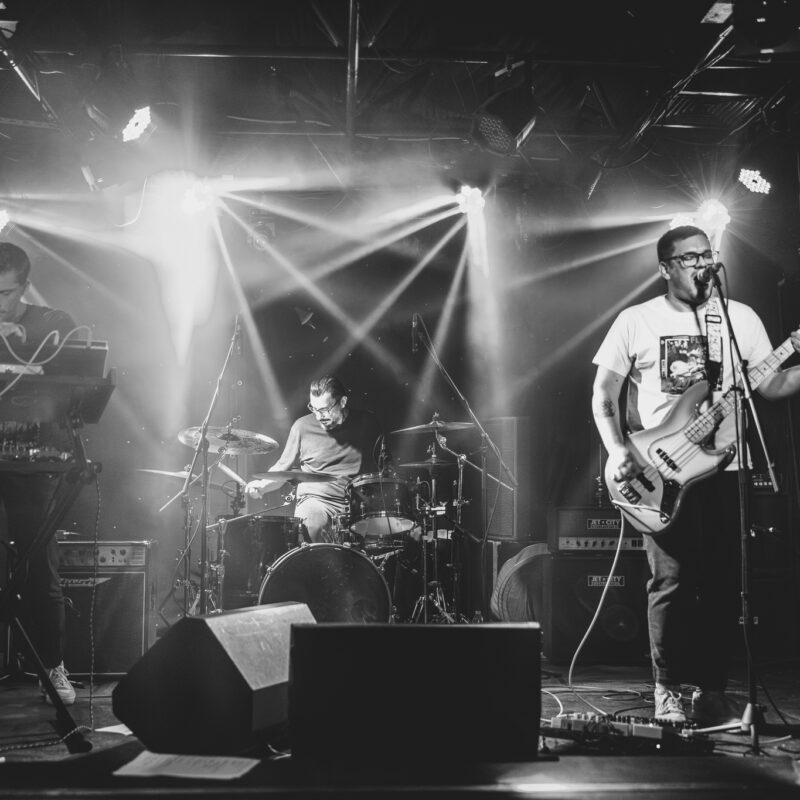 Stereosister, Slick Stings, autor: Filip Kovačević