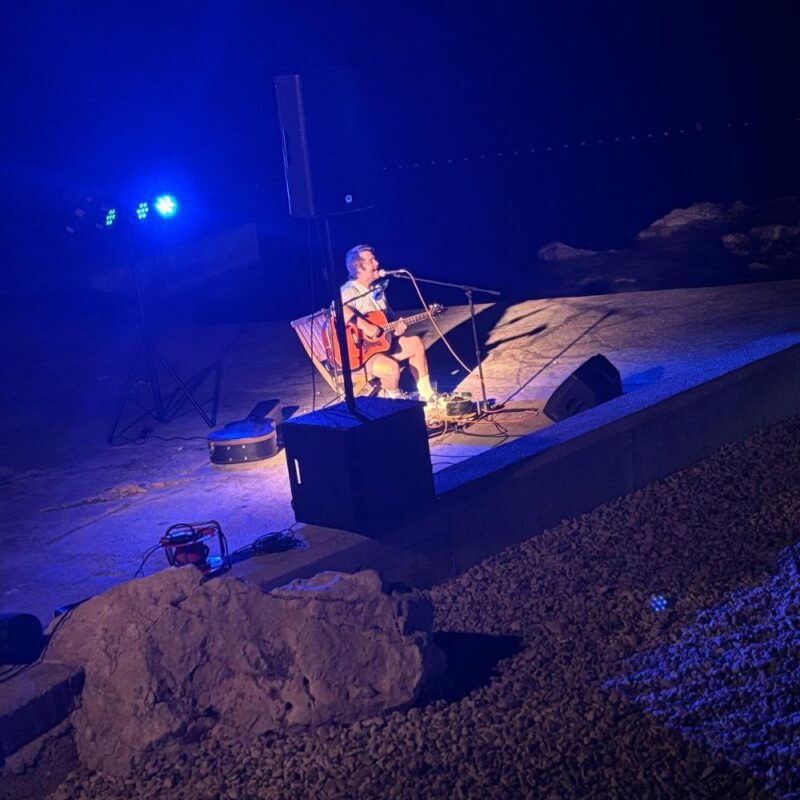 Stray Dogg, autor: Željko Pendić