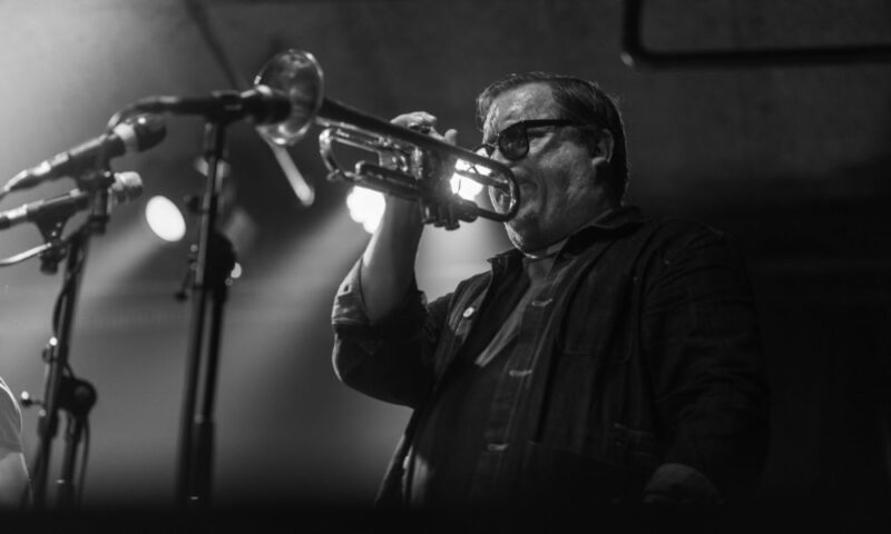 Roj Osa, autor: Domagoj Lozina