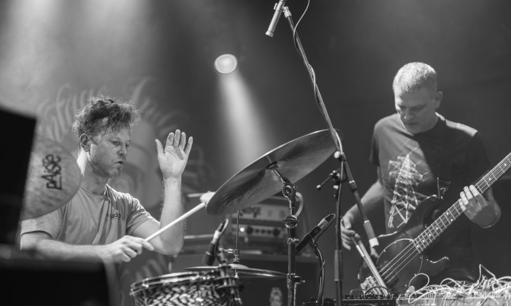 Roj Osa, autor: Domagoj Lozina